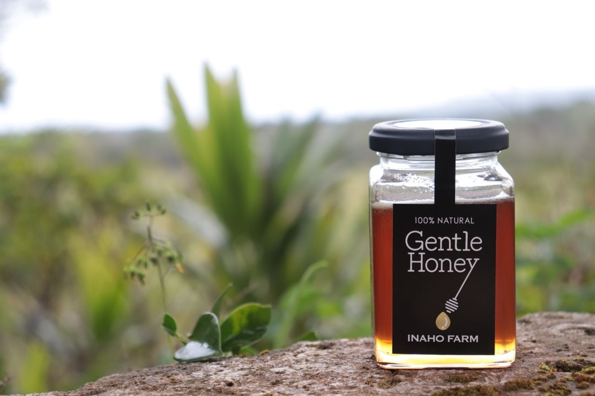Gentle Honey ジェントルハニー 非加熱無添加蜂蜜