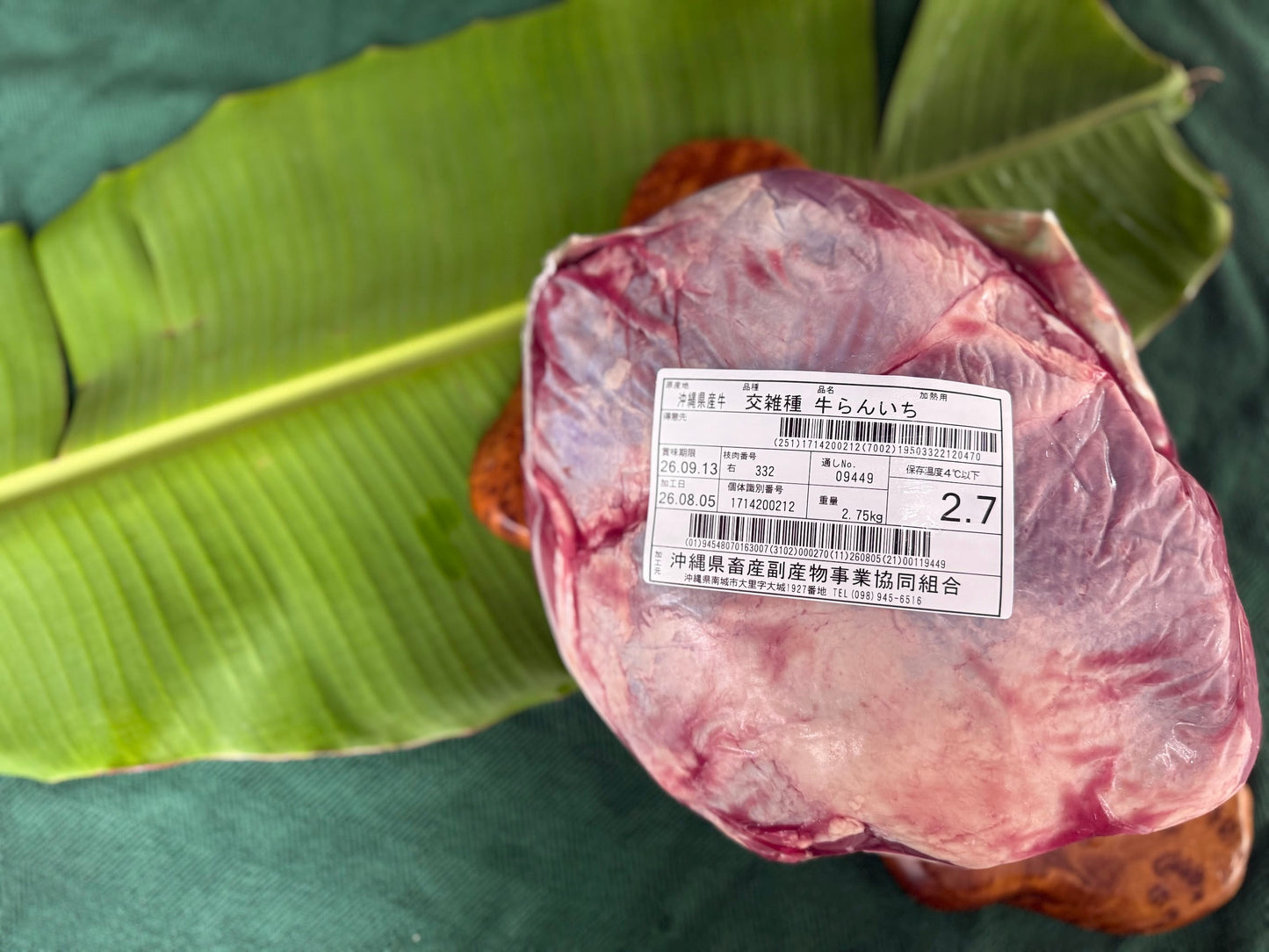 オペラ 右・ランイチ 2.7kg（部位写真）