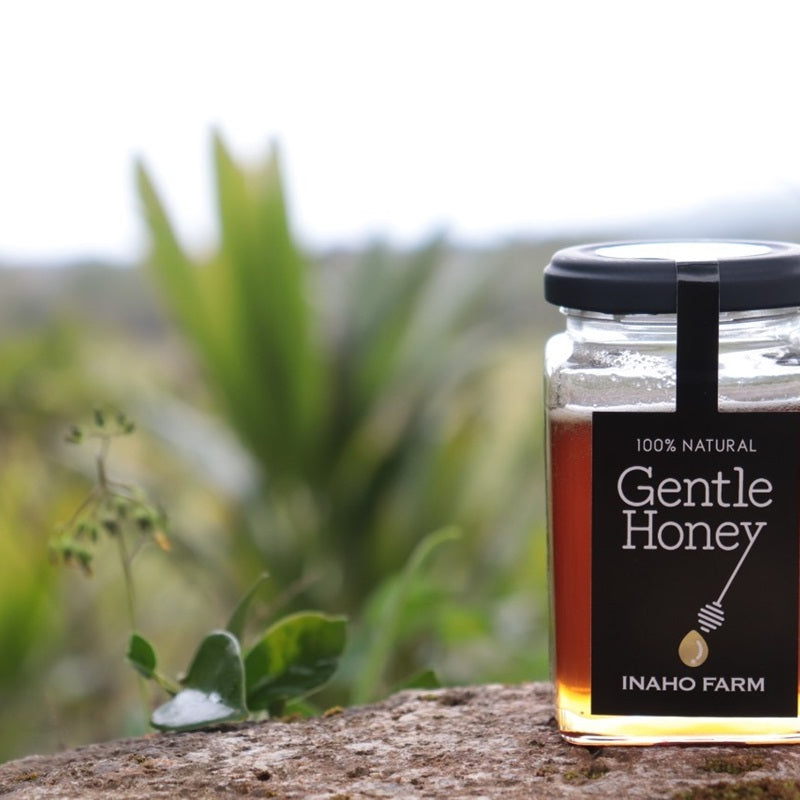 Gentle Honey（ジェントルハニー）非加熱無添加蜂蜜