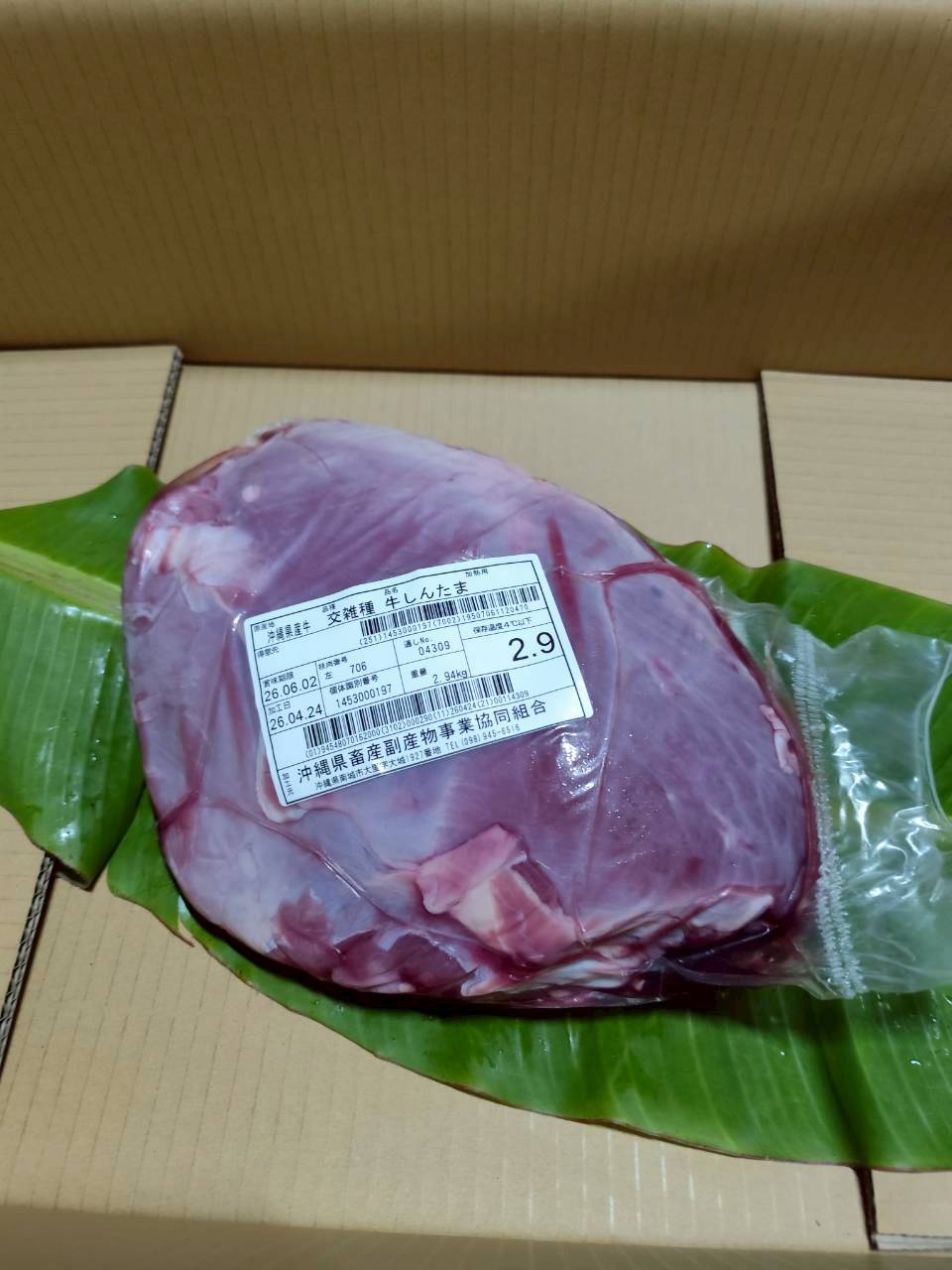 左 シンタマ 2.9kg — 昇龍
