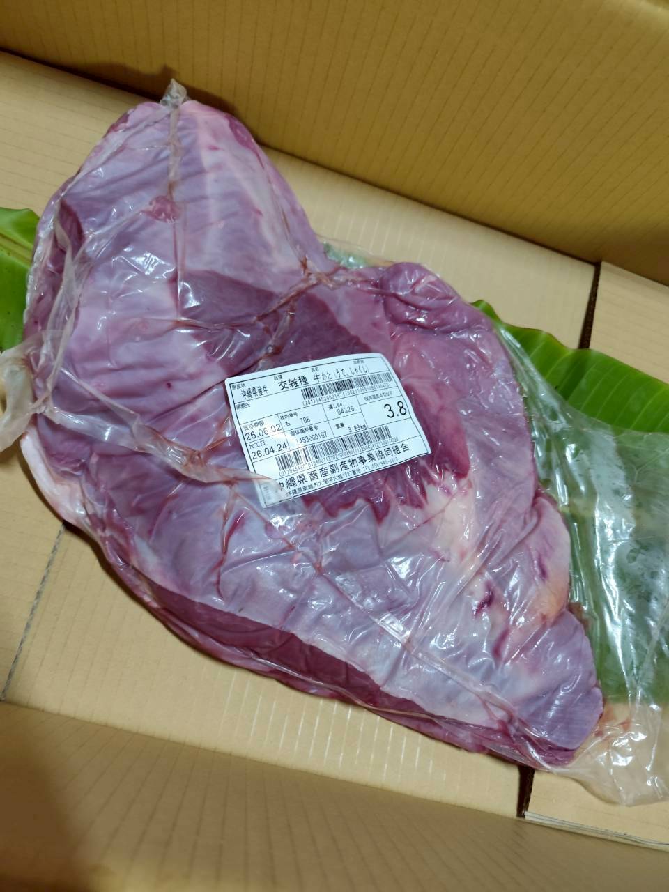 右 肩ウデ 3.8kg — 昇龍