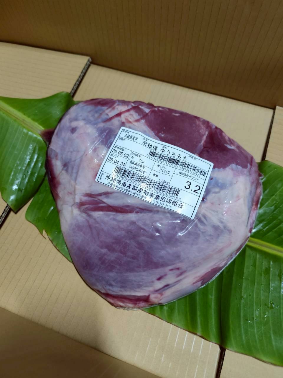 左 内モモ 3.2kg — 昇龍