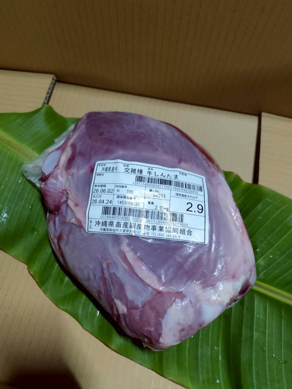 右 シンタマ 2.9kg — 昇龍