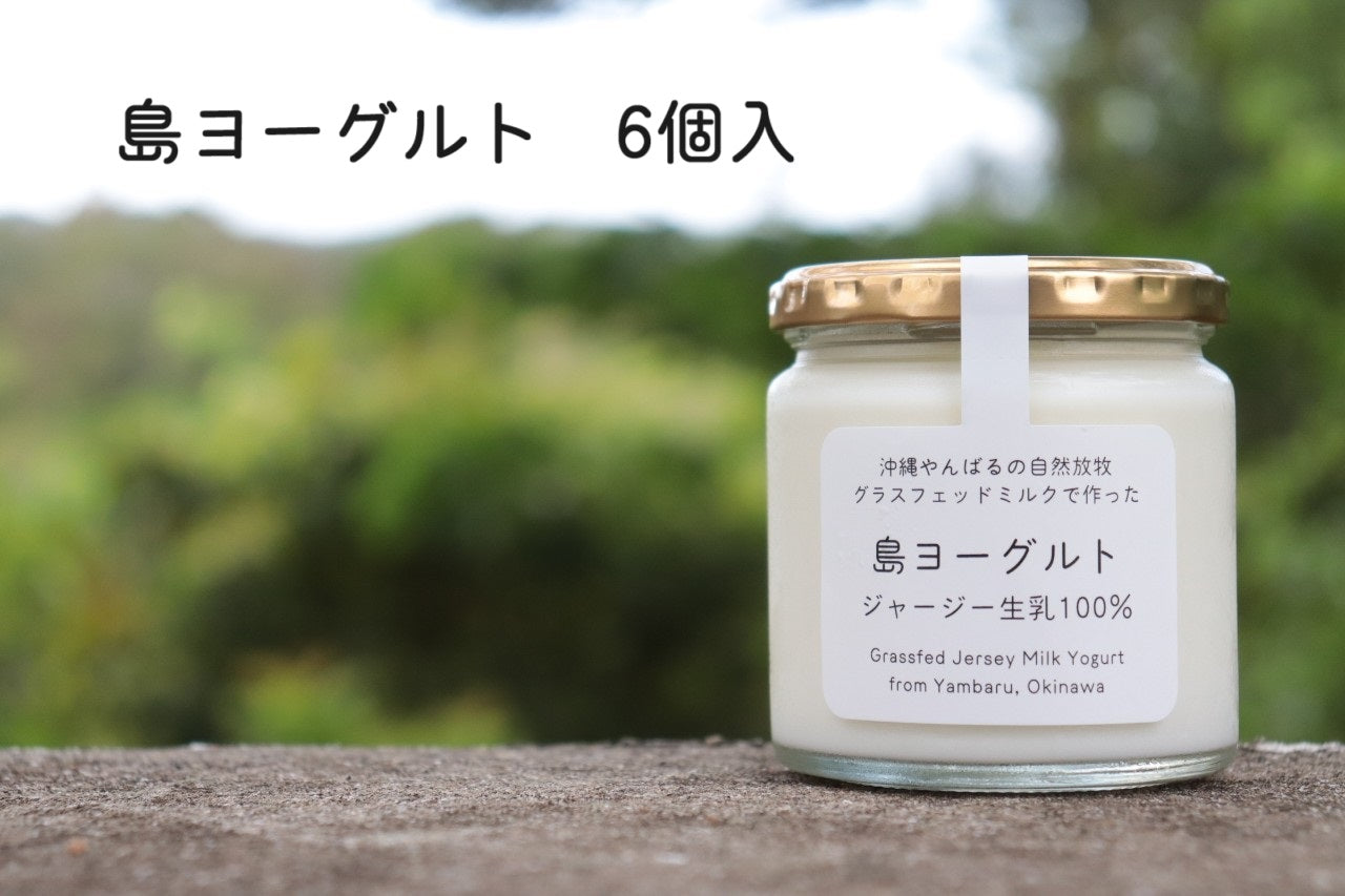 ジャージー生乳100％『島ヨーグルト』(220g×6個入り)