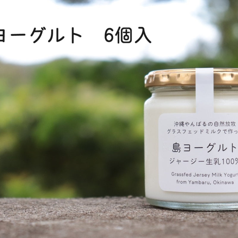 島ヨーグルト（6個入り）